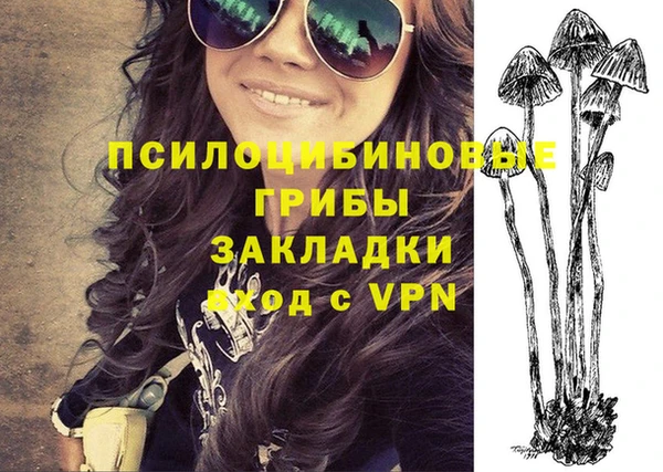 эйфоретик Грязи