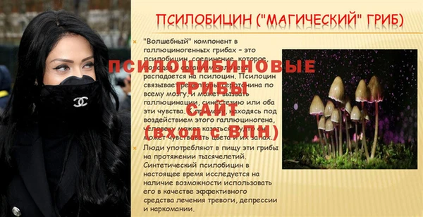 a pvp Новодвинск