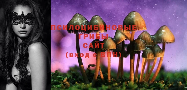 альфа пвп Нягань