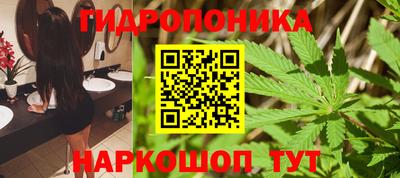 экстази Гай