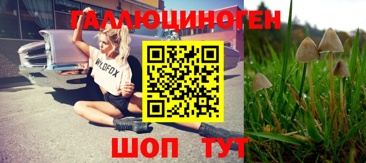 Галлюциногенные грибы Magic Shrooms Тара