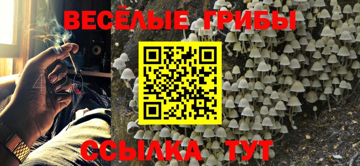 Псилоцибиновые грибы прущие грибы Тара