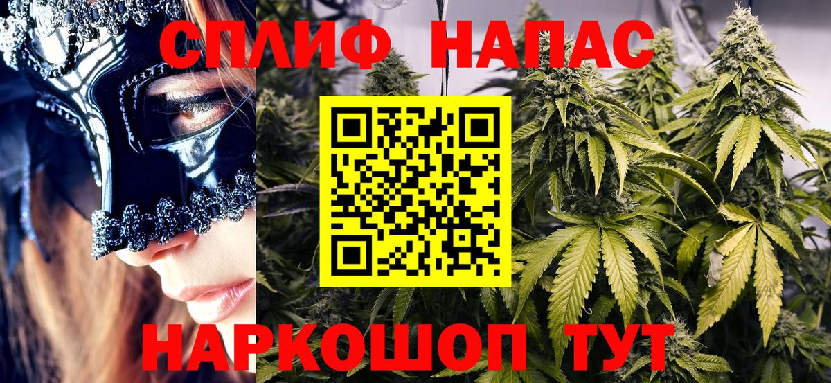 Конопля сатива  Тара  Бошки марихуана MAZAR  Бошки Шишки гибрид  Канабис OG Kush 